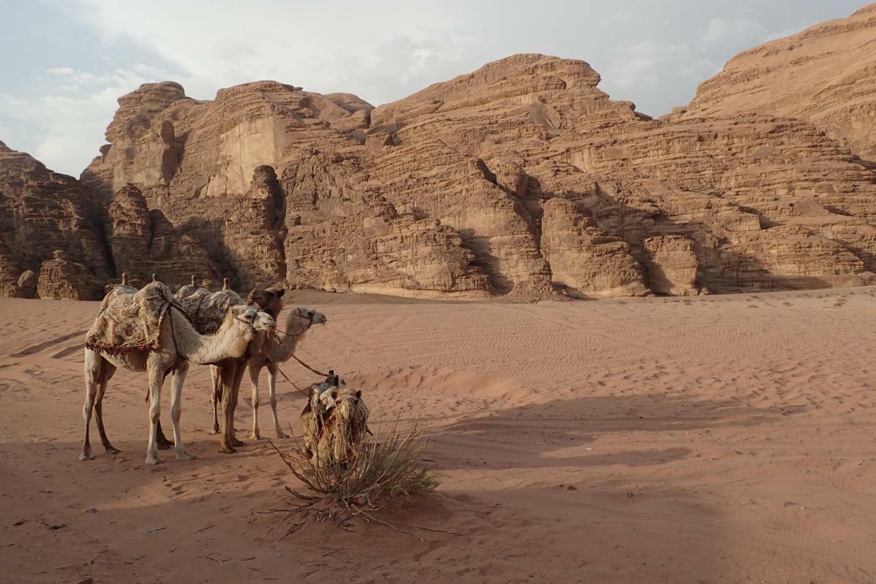 Martian Camp Wadi Rum Zewnętrze zdjęcie